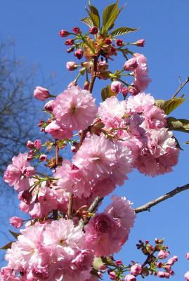 Прикрепленное изображение: sc1.jpg